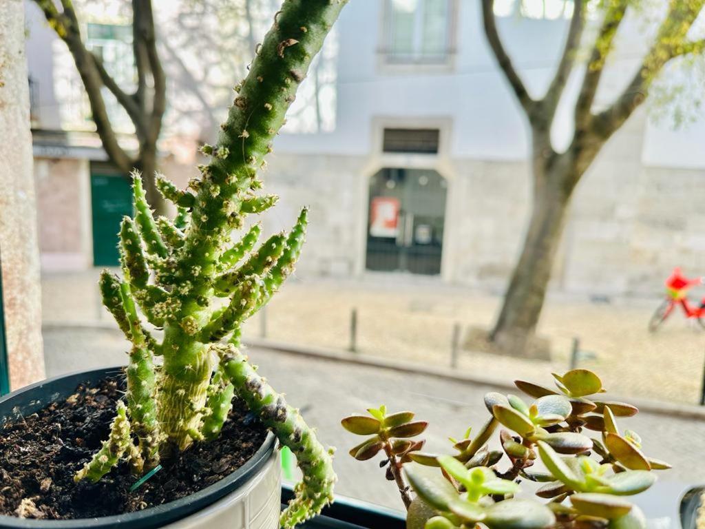 Varandas Do Marques Lisboa Dış mekan fotoğraf